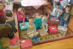 Shoebox-transyl-2